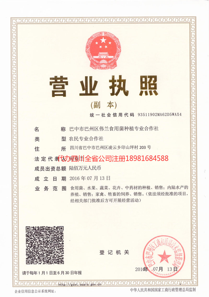 漳州漳州伟兰食用菌种植专业合作社